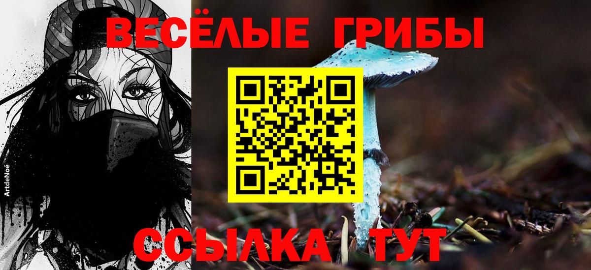 Галлюциногенные грибы Magic Shrooms  Галлюциногенные грибы MAGIC MUSHROOMS  Вход с VPN  Лесосибирск 